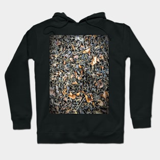 Autumnal warm rich compost Hoodie